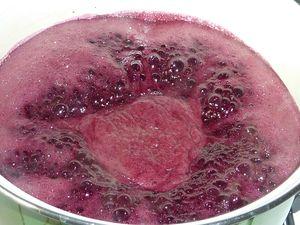 Gelée de baies de sureau noir P1140458