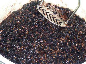 Gelée de baies de sureau noir P1140455