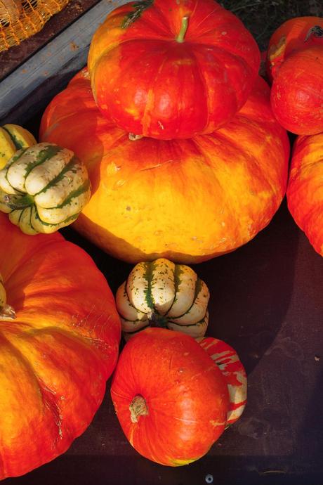 Week-en en Champagne-Ardenne #2 IMGP3826