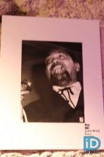 Pézenas : Culture Jazz 1381777_244796535670667_2025493521_n.jpg