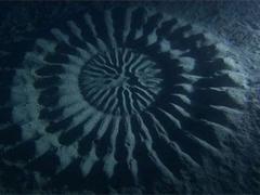 Dessine moi un dessin et je te dirai si je t'aime.... 1575060-inline.jpg