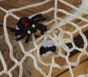 Toile d'araignée avec mouche et araignée au crochet arraignée+mouche