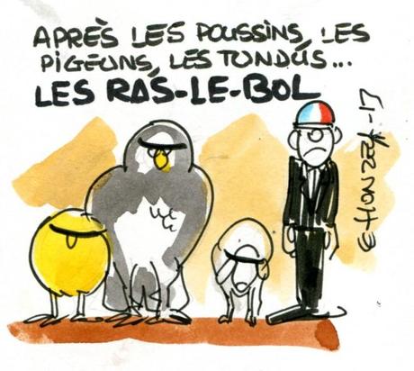 Ras-le-bol ! imgscan contrepoints 2013-2262 ras le bol