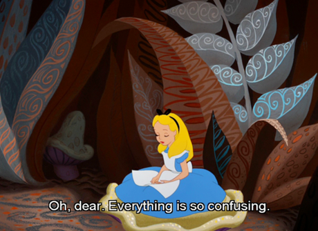 Conseils d’une chenille #1 ♣ drôles de petites bêtes alice confusing