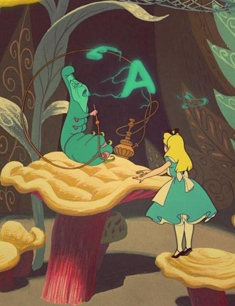 Conseils d’une chenille #1 ♣ drôles de petites bêtes alice chenille rencontre