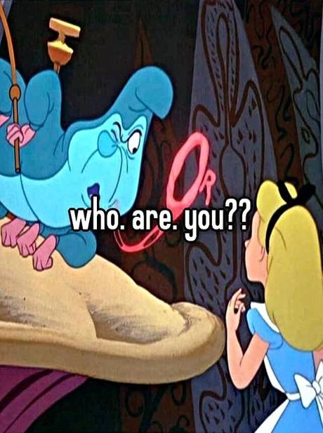 Conseils d’une chenille #1 ♣ drôles de petites bêtes alice chenille qui es tu