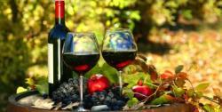 France : Qui sont les consommateurs de vins bio ?