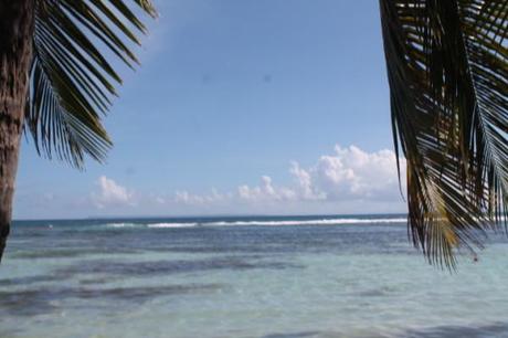 du virtuel au réel Amis-2-3887.JPG