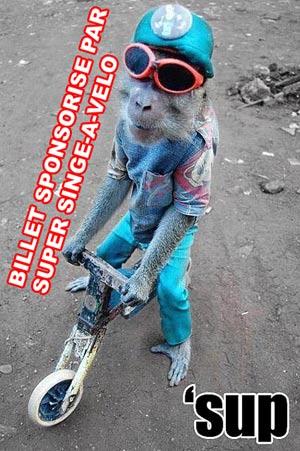 Super singe à vélo
