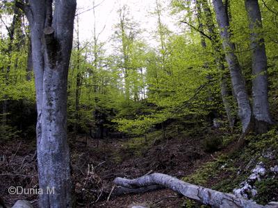 Saison Printemps à La Chaux-de-Fonds
