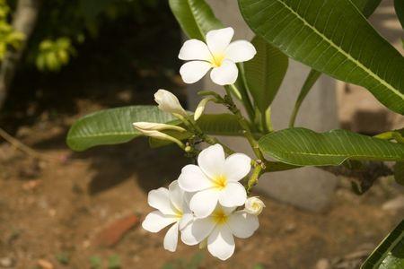 Une nouvelle maison Une nouvelle maison