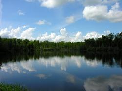 Séjour au Lac du Der 8 au 12 mai Séjour au Lac du Der 8 au 12 mai