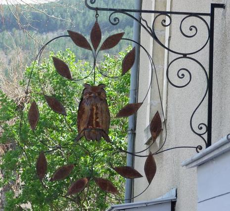 Chouette rouillée Chouette rouillée