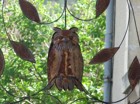 Chouette rouillée Chouette rouillée