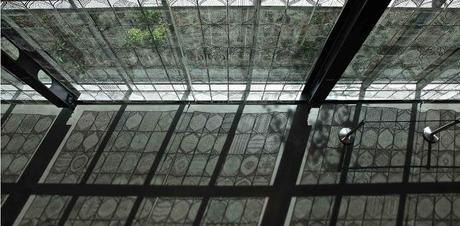 Myriam Dion Myriam Dion