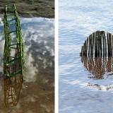 Wild Idea – Ludovic Fesson OLYMPUS DIGITAL CAMERA