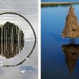 Wild Idea – Ludovic Fesson OLYMPUS DIGITAL CAMERA