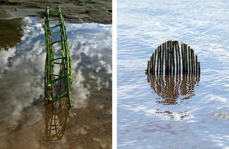 Wild Idea – Ludovic Fesson OLYMPUS DIGITAL CAMERA