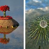 Wild Idea – Ludovic Fesson OLYMPUS DIGITAL CAMERA