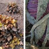 Wild Idea – Ludovic Fesson OLYMPUS DIGITAL CAMERA