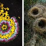 Wild Idea – Ludovic Fesson OLYMPUS DIGITAL CAMERA