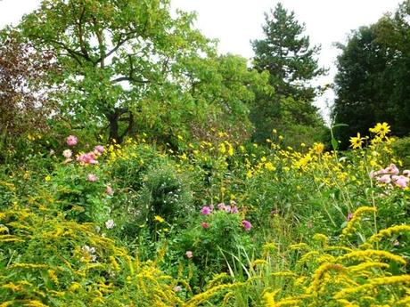 Monet, sa maison et son jardin de Giverny