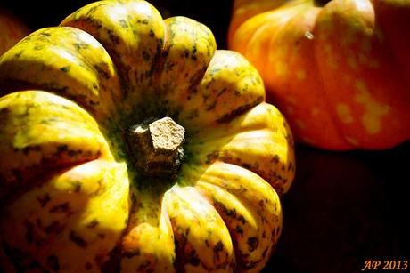 Automne / Fall Récolte d'Automne / Fall Harvest