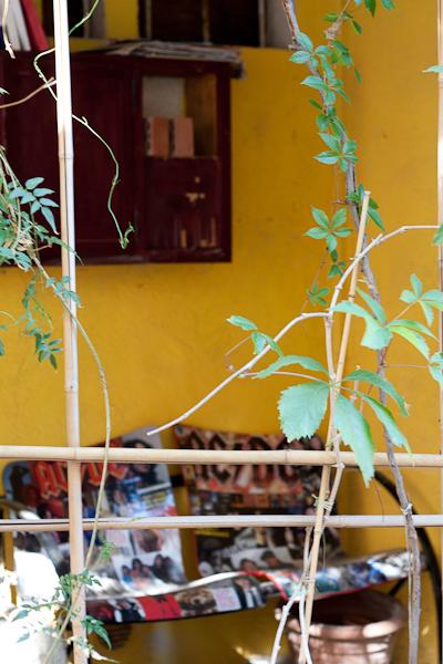 Du côté de Ventabren IMG_7431