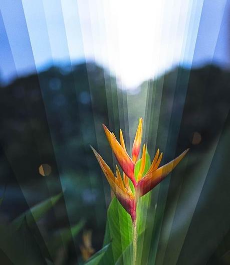 TIME IS A DIMENSION dimension3