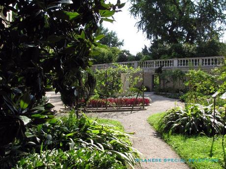jardin botanique de padoue 1 milanese special selection Le Jardin botanique de Padoue