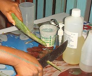 Comment fabriquer son propre gel d'aloe (Images inside) Comment fabriquer son propre gel d'aloe (Images inside)