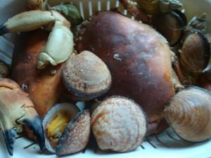 Plateaux de fruit de mer DSC02592.JPG