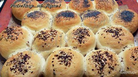 Pains Mag.... ClomaxDSC_1563-20131022-213301