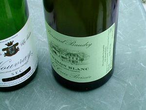 Dégustation à l’aveugle de Chenins secs tourangeaux (fin) IMGA9352