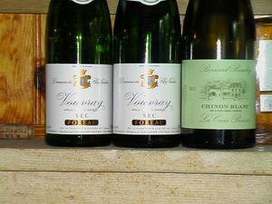 Dégustation à l’aveugle de Chenins secs tourangeaux (fin) IMGA9345