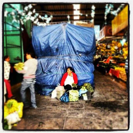 En route pour Oaxaca: Passage éclair à Cholula et Puebla. fauvett234