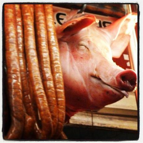 En route pour Oaxaca: Passage éclair à Cholula et Puebla. fauvett230