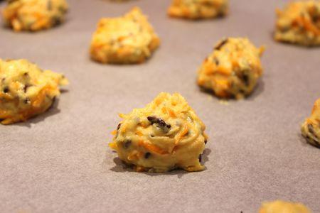 Cookies-araignées au potimarron et chocolat IMG_2243r