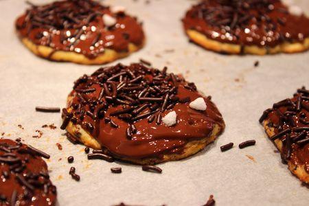 Cookies-araignées au potimarron et chocolat IMG_2253r