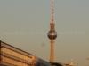 DSC02599_1 DSC02599_1