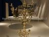 DSC02529 DSC02529