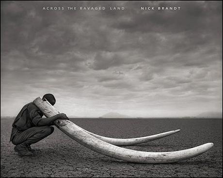 Exposition : Nick Brandt, Across the Ravaged Land