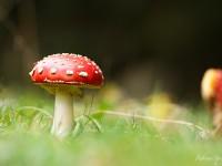 Tonnerre d’automne… Tonnerre d’automne…