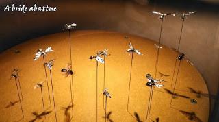 Mille milliards de fourmis au Palais de la découverte