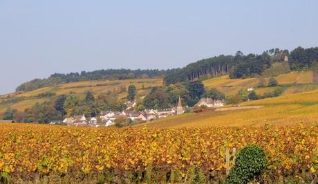 2 Corton-030 2 Corton-030