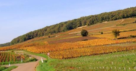 2 Corton-034 2 Corton-034