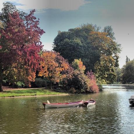 automne Ma semaine en mots et photos instagram (103)