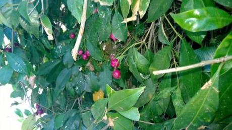 Une photo prise avec le Lumia 929 lumia_929_sample