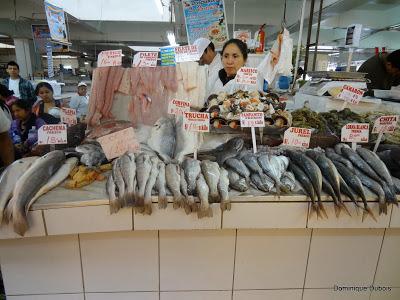 Poissons marché de Lima Pérou Un peu de Gastronomie