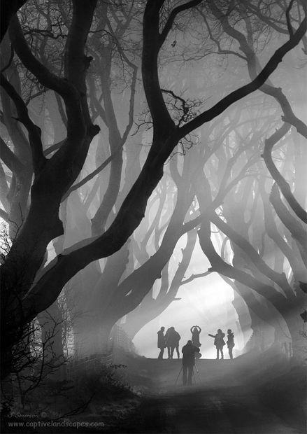 Sélection Pixfan 500px #89 Stephen Emerson